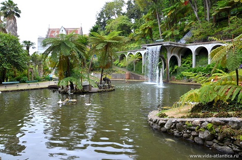 тропический парк, мадейра, дворец монте, jardim tropical monte palace